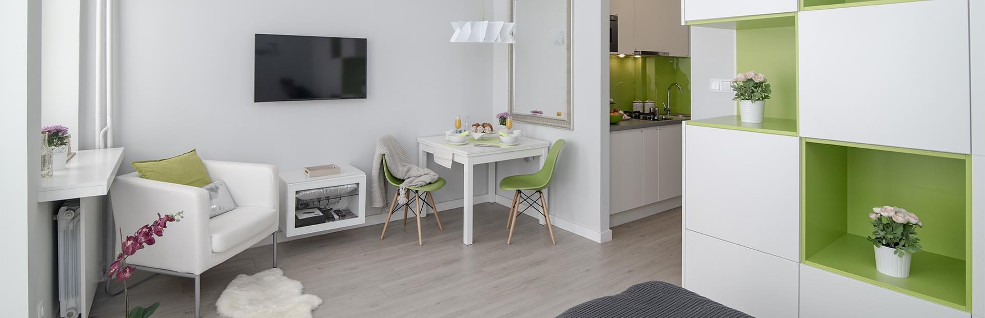 Apartment Salon TV